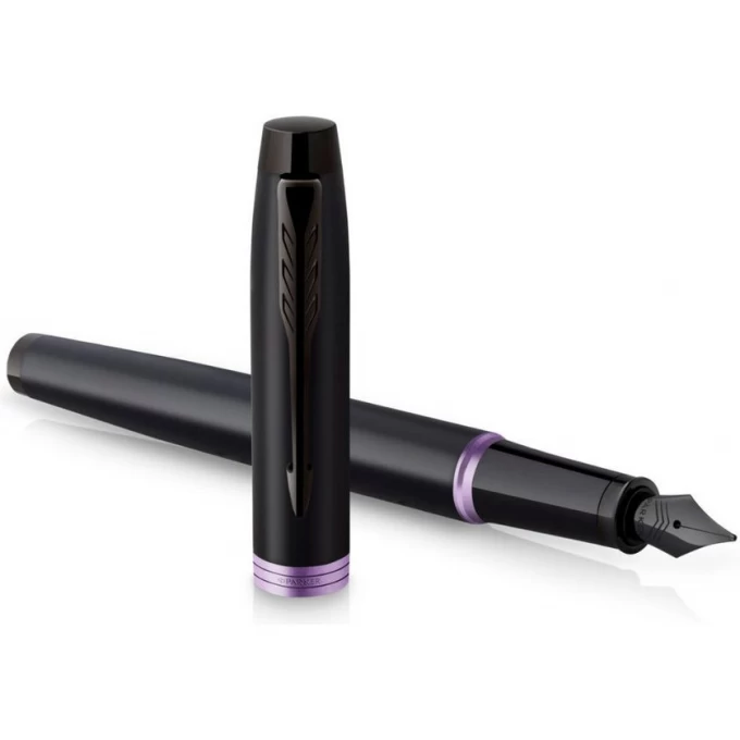 Ручка перьевая PARKER IM VIBRANT RINGS F315 AMETHYST PURPLE PVD M CW2172949